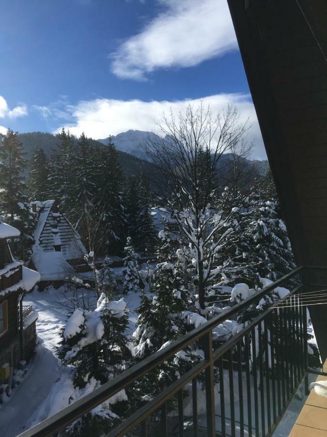 Pokoje Gościnne Tęcza Zakopane Zewnętrze zdjęcie